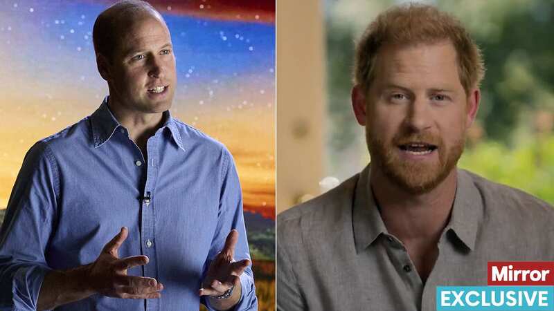 Princes William and Harry have made a number of TV appearances this year