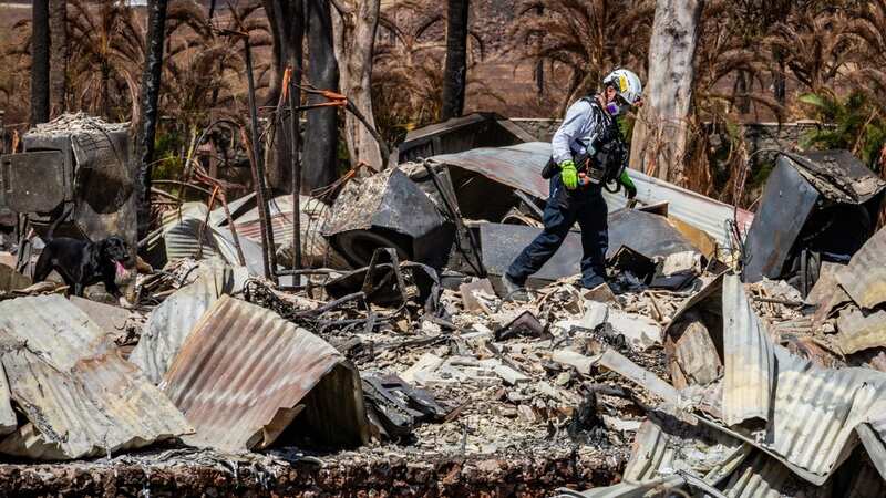 Search operations of areas damaged by wildfires in Lahaina, Maui (Image: U S Army National Guard/UPI/REX/Shutterstock)