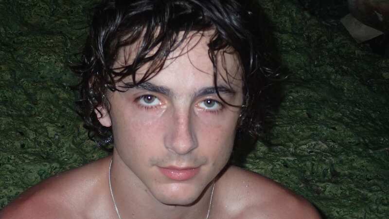 Timothee Chalamet poses shirtless in thirsty snaps as Kylie Jenner rumours heat up (Image: tchalamet/Instagram)
