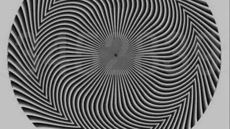 What number do you see? (Image: Benonwine)