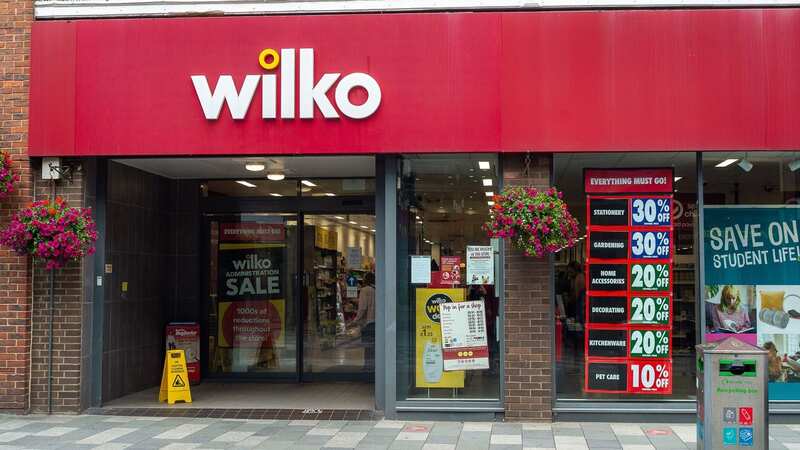 Wilko collapsed into administration earlier this month (Image: Maureen McLean/REX/Shutterstock)