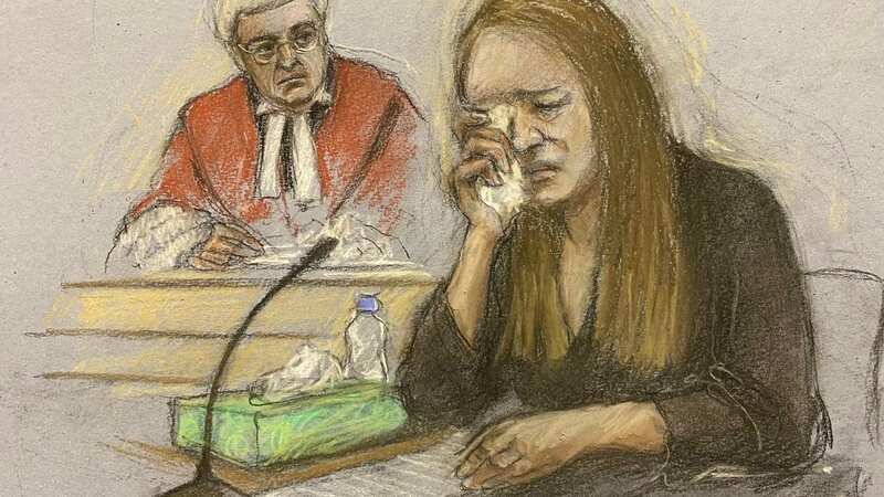 Numerous theories were put forward during the 10-month trial (Picture: court artist sketch of Lucy Letby giving evidence) (Image: PA)