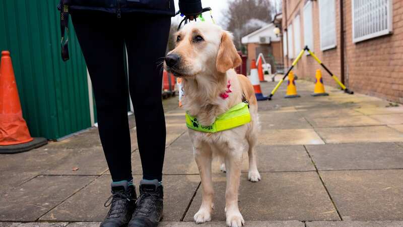 The Guide Dogs charity has called on the Government to rethink the proposals to close ticket offices (Image: Liverpool Echo)