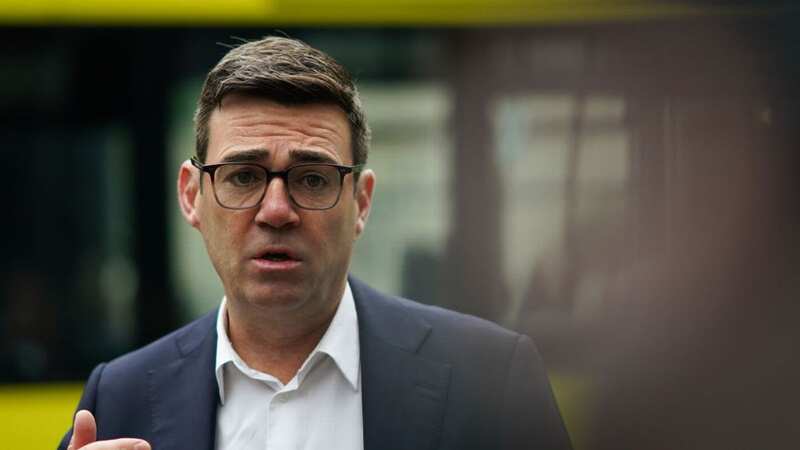 Andy Burnham said voters were crying out for a "rewiring" of the state after more than a decade of Tory rule (Image: Getty Images)
