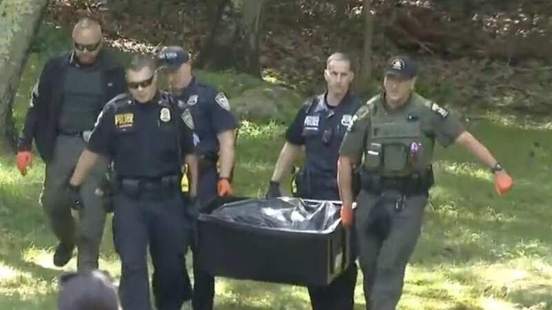 The bear was still in the backyard when police arrived (Image: CBS)
