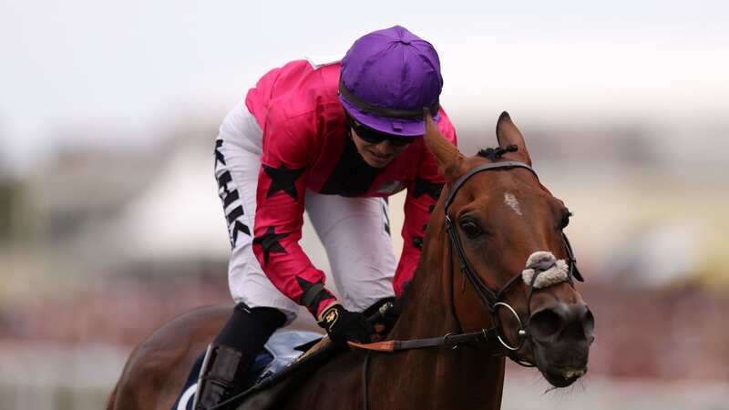 Scampi will challenge for the £500,000 Ebor (Image: PA)