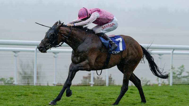 Sweet William - Remarkable comeback of horse now favourite for £500k race