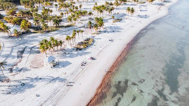 The Miami health officials said results for the North and South beaches were not sufficient as they were below the state and federal recreational water quality standards for enterococci—a bacteria that indicates the presence of fecal matter (Image: Getty Images)