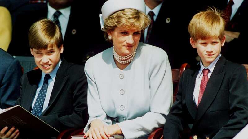 Princess Diana with her son Prince William and Prince Harry in 1995 (Image: Getty Images)