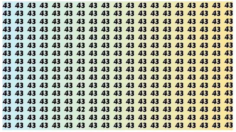 Can you spot the 42 amongst the 43s in 19 seconds? (Image: Fresherslive)