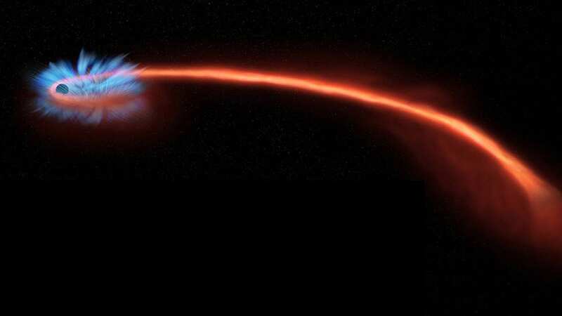 Astronomers have been studying the remnants of the star torn apart by the 