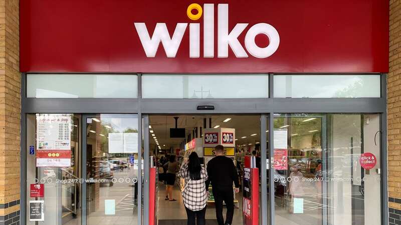 The discount retail chain Wilko fell into administration earlier this month (Image: Maureen McLean/REX/Shutterstock)