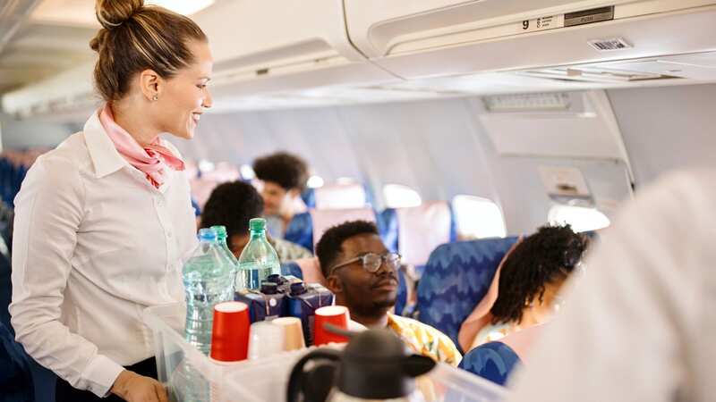 The flight attendant recommended avoiding plane food (Image: Getty Images)