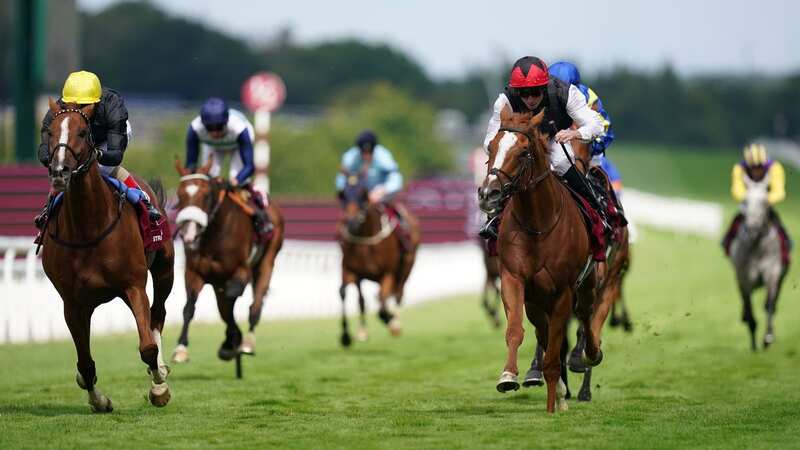 Kyprios ridden by Ryan Moore (second right, red helmet) will return to action in September (Image: PA)