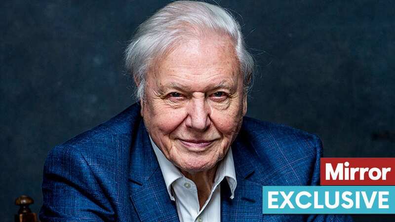 Sir David Attenborough will be doing another Planet Earth, the Mirror has learned (Image: BBC/Sarah Dunn)