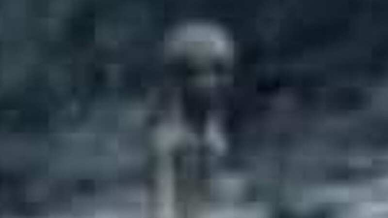 The bizarre looking entity was caught on camera (Image: Jam Press)