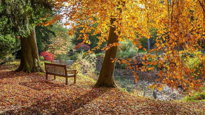 Forget about the crowds with an Autumn break in Yorkshire (Image: Thorp Perrow)