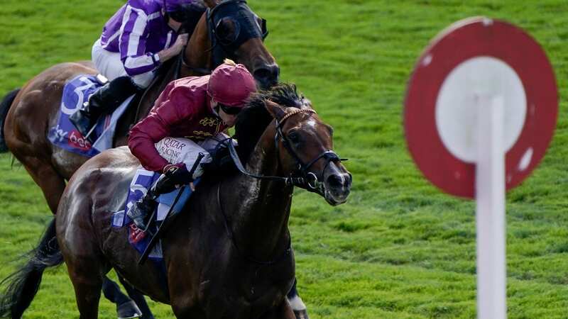 Fast improver Middle Earth to be supplemented for St Leger after York win