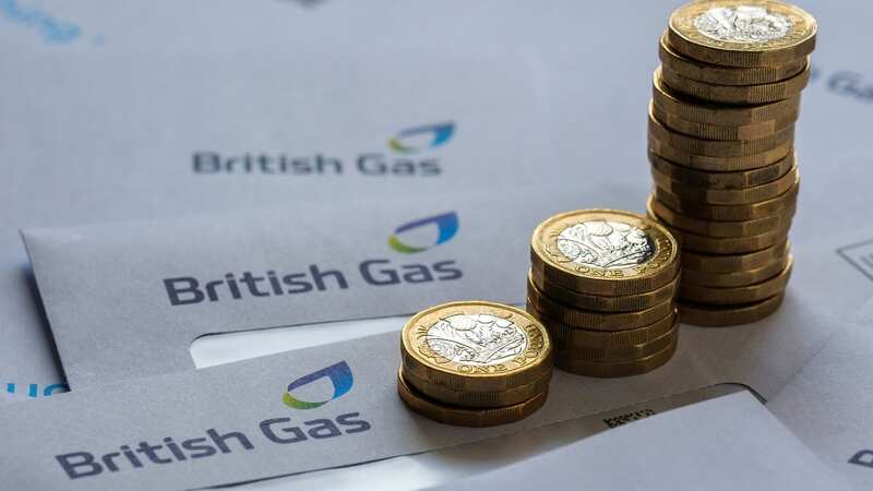 British Gas customer? You could get half-price electricity with this deal (Image: Shutterstock / mundissima)