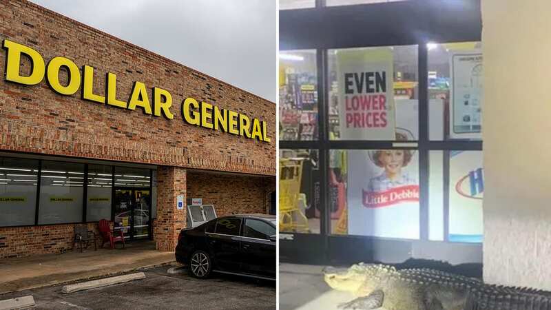 The presence of a large alligator in front of a Louisiana Dollar General early Tuesday prompted jokes from authorities on Facebook