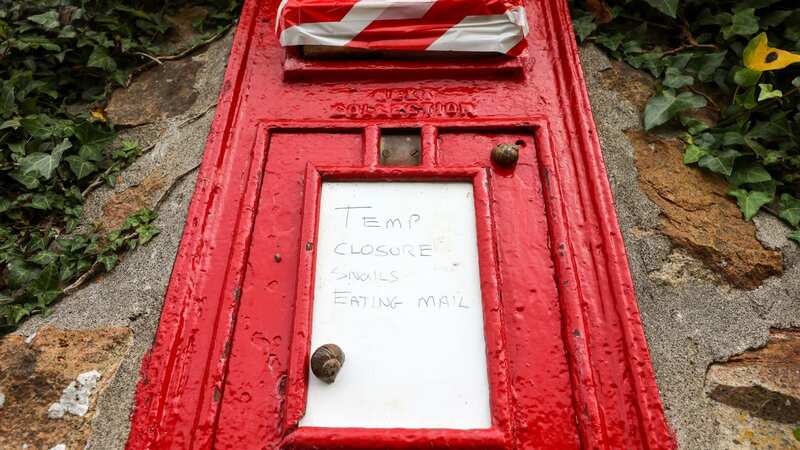 A postbox in Marazion, Cornwall has been taped up and closed (Image: Greg Martin / Cornwall Live)