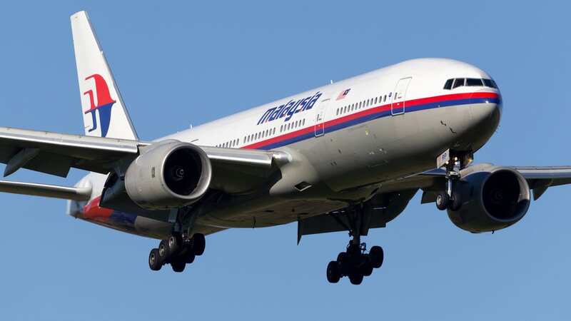 Malaysia Airlines flight MH370 disappeared in 2014 (Image: Getty Images)