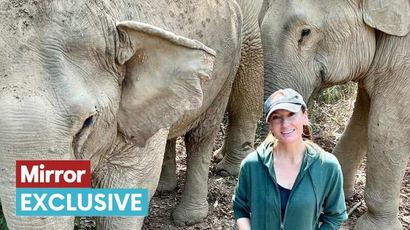 Katherine Connor founded her elephant sanctuary with her late husband in 2008
