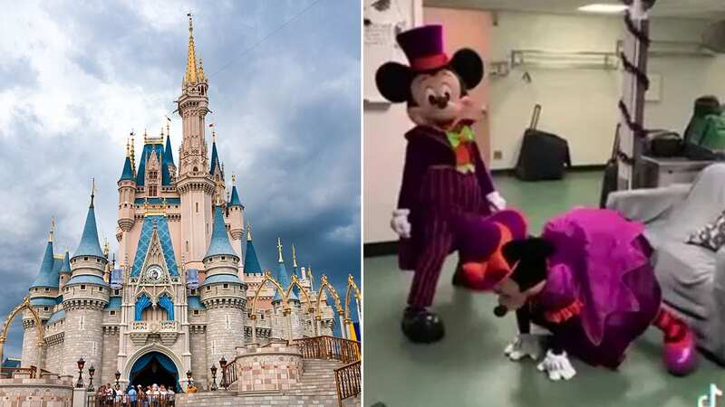 Antics at Disneyland in California have angered bosses (Image: Disney)