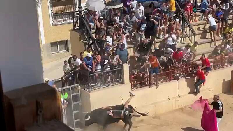 Grim moment tourist is gored by Spanish bull after trying to jump on its back