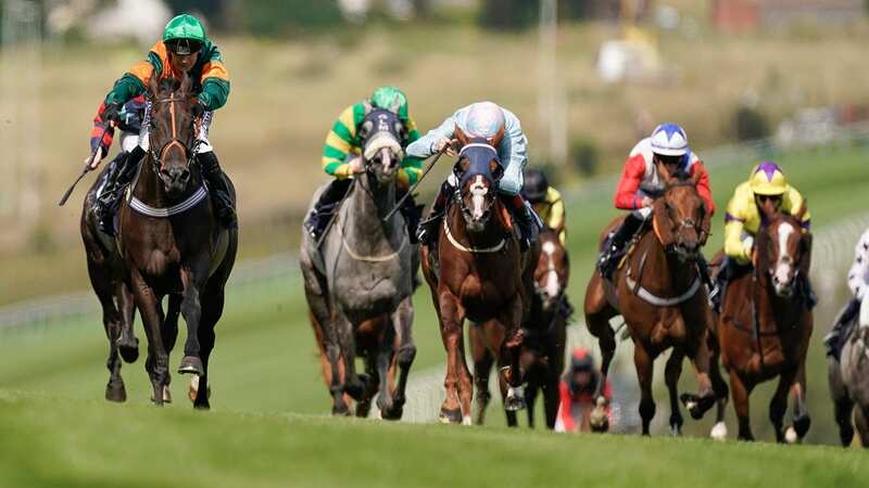 Action at Brighton Racecourse, where Newsboy