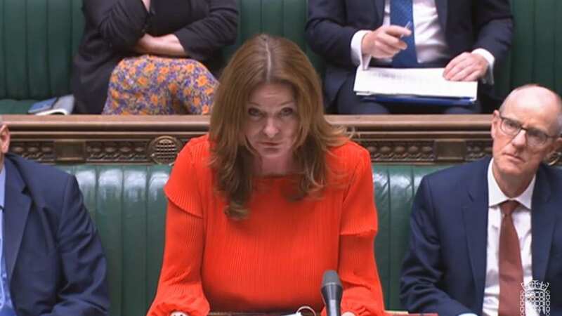 Education Secretary Gillian Keegan faced MPs in the Commons (Image: parliamentlive.tv)