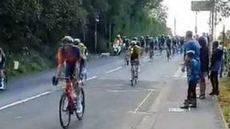 Moment Tour of Britain is thrown into chaos as dog runs in front of cyclists