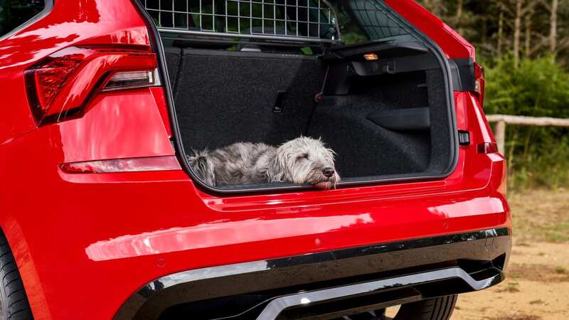 Best cars for dog owners: My top 10 cars for carrying your pampered pooches