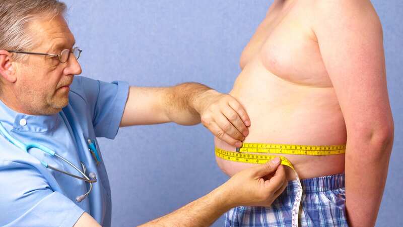 Survey suggests a quarter of us are obese (Image: Getty Images)