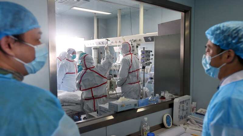 A team of researchers from China and the UK studied a sample of H3N8 (file photo) (Image: AFP via Getty Images)