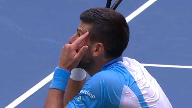 Novak Djokovic lost his cool at a fan sat with his supporters at the US Open (Image: Twitter/SkySportsTennis)