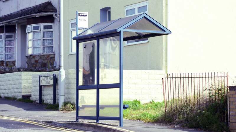 The bus shelter which offends homeowner Simon Williams (Image: Media Wales)