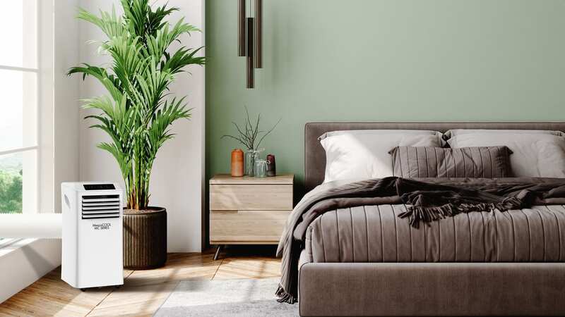 Discover whether or not air-conditioning units are worth the money (Image: Meaco)