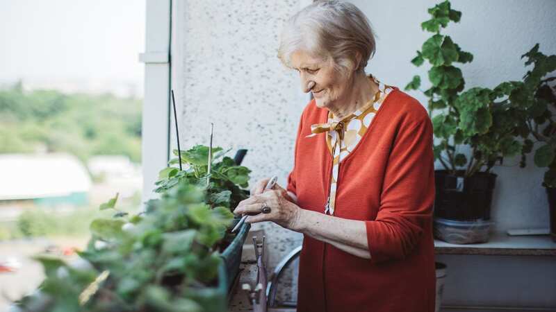 Gardening can provide a number of benefits to dementia sufferers (Image: Getty Images)