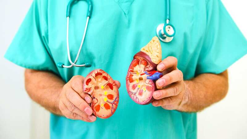 Progressive scarring of the kidneys is a common feature in chronic kidney disease (Image: Getty Images)