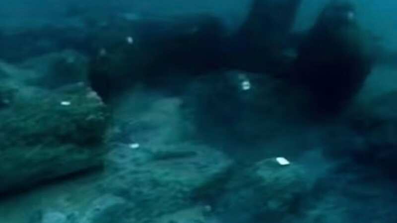 The phenomenon was explored in documentary 