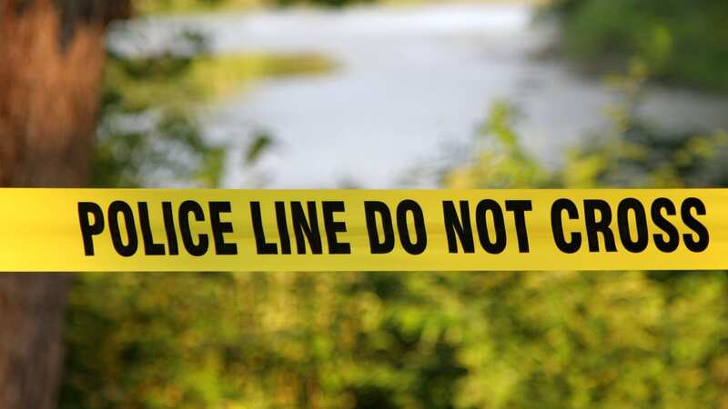 The children