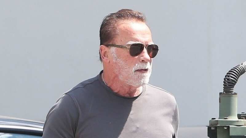 Arnold Schwarzenegger was spotted wearing a large cast (Image: Stoianov-lese / BACKGRID)