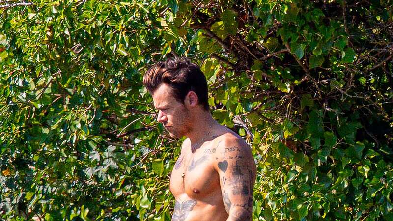 Harry Styles shows off huge tattoos as he dives into London pond (Image: EROTEME.CO.UK)