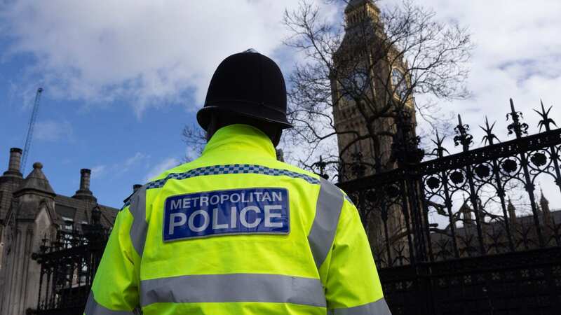 The man arrested worked at Westminster (Image: Getty Images)