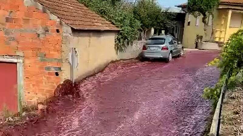 Moment fast-moving rivers of wine floods village as 2.2million litre tanks burst