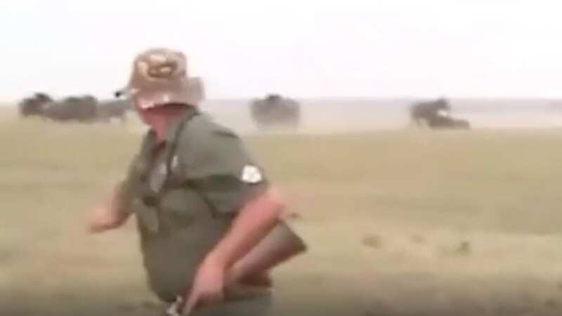 Elephants take revenge after trophy hunter shoots herd member dead