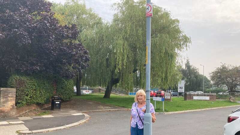 Cllr Joan McTigue with the dog fouling sign on Kirkham Row, Beechwood (Image: Copyright Unknown)