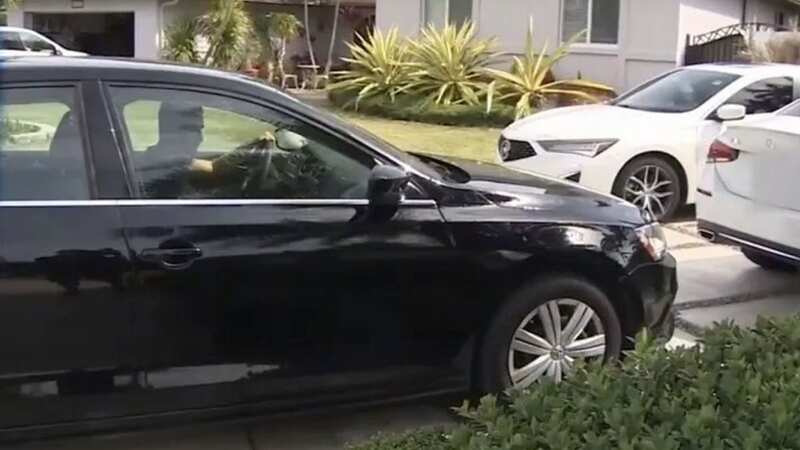 Neighbours hit back at the fines (Image: WSVN)