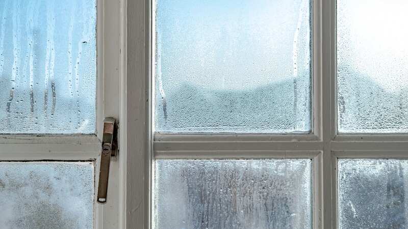 Condensation can cause mould growth if left too long (Image: Getty Images/iStockphoto)